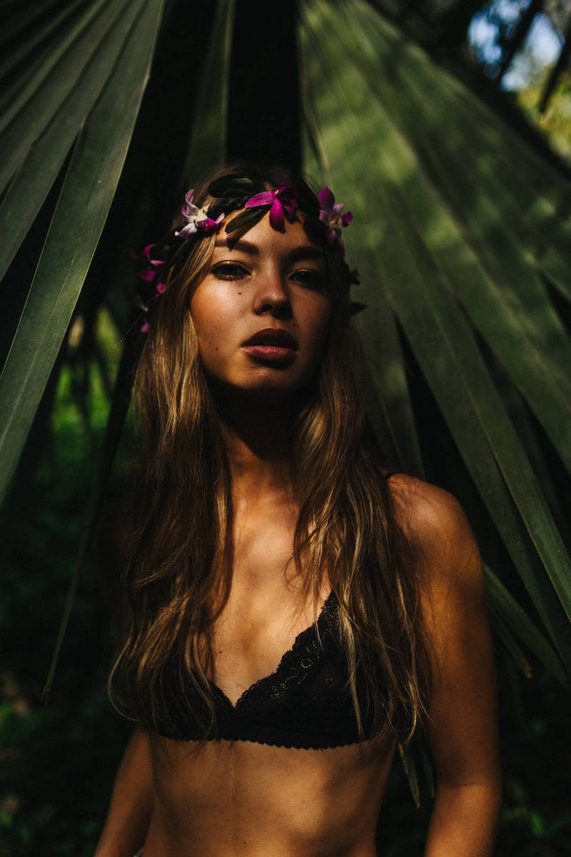 Ministry of Law Notifies Transfer of Several High Court Judges