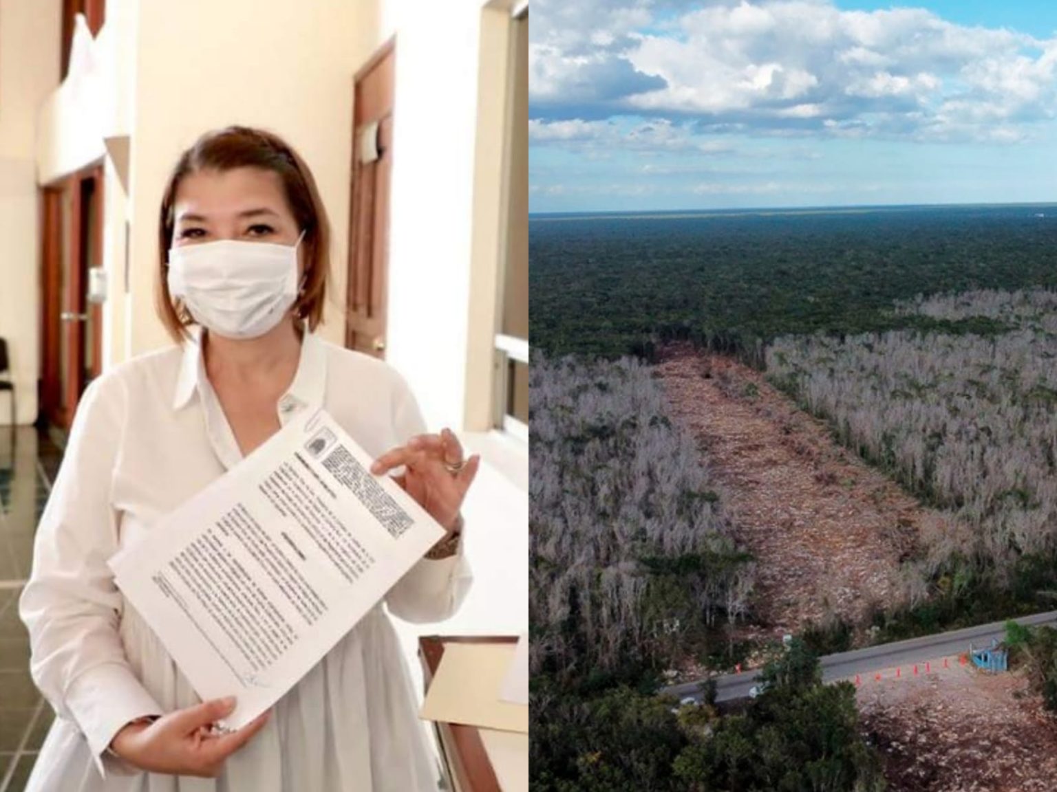 Diputada (precandidata) se cuelga de ambientalistas, “promueve” exhortó contra Tren Maya