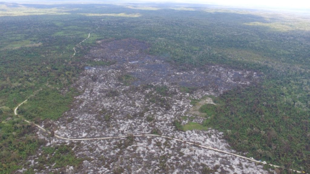 Consume incendio forestal más de 80 hectáreas en Bacalar