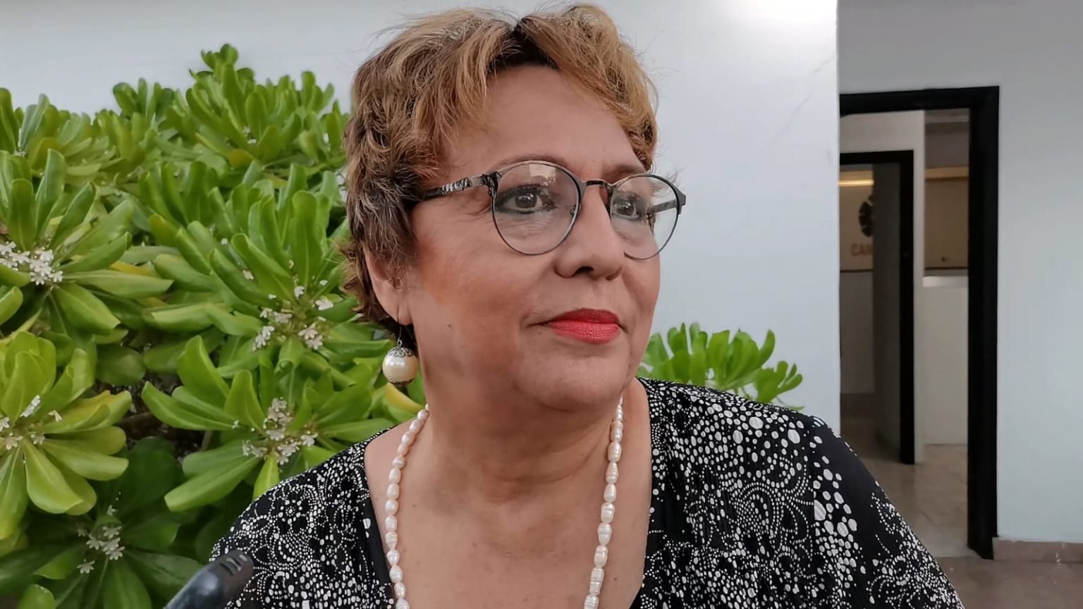 FALTO INTERÉS Y APOYO: Rompen hoteleros del sur con el Consejo de Promoción Turística