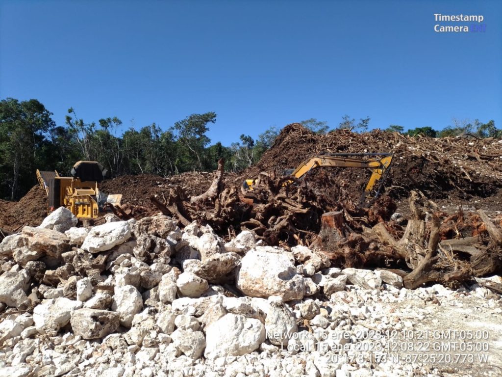 Juez concede suspensión definitiva contra Tramo 5 de Cancún a Tulum del Tren Maya