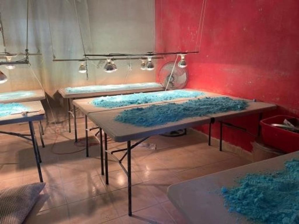 Autoridades decomisan en Tijuana, Baja California, un millón 834 mil pastillas de posible fentanilo