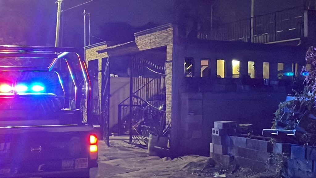 Muere mujer de 20 años por picaduras de abeja en Cancún