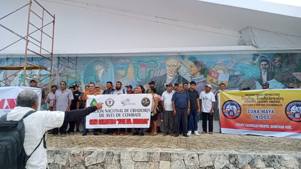 Protestan para seguir con peleas de gallos y corridas de todos en Quintana Roo
