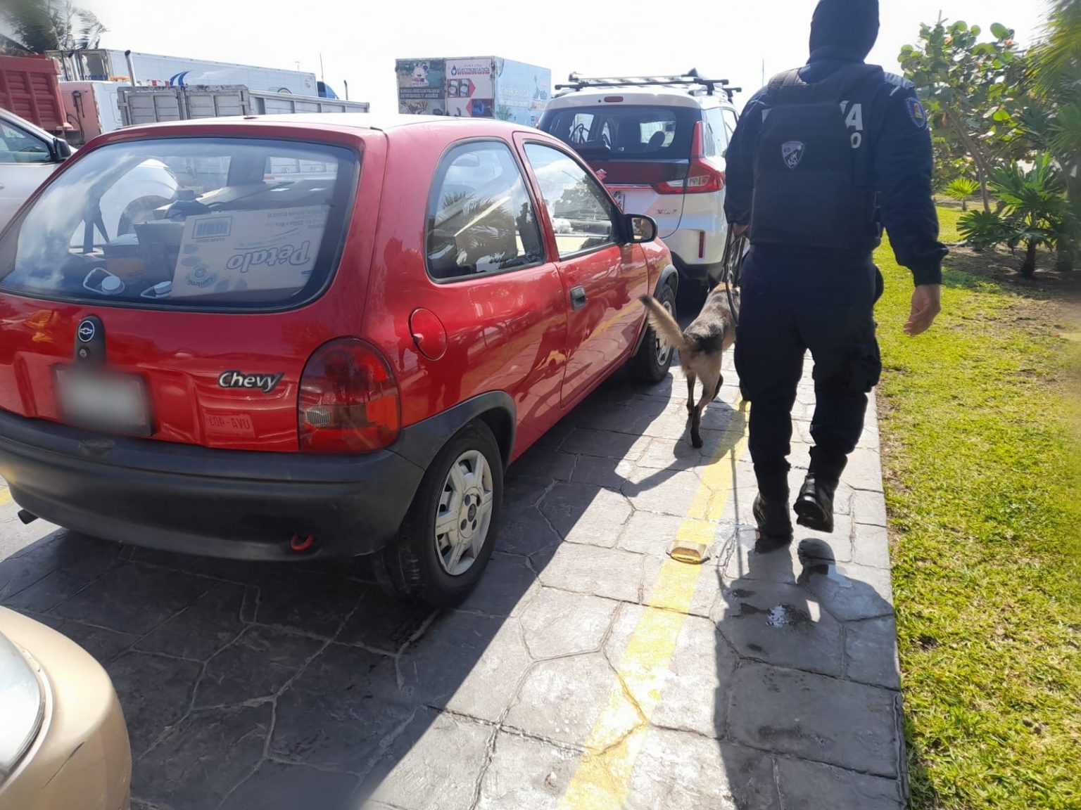 Instalan punto de control e inspección en terminal marítima de Cancún