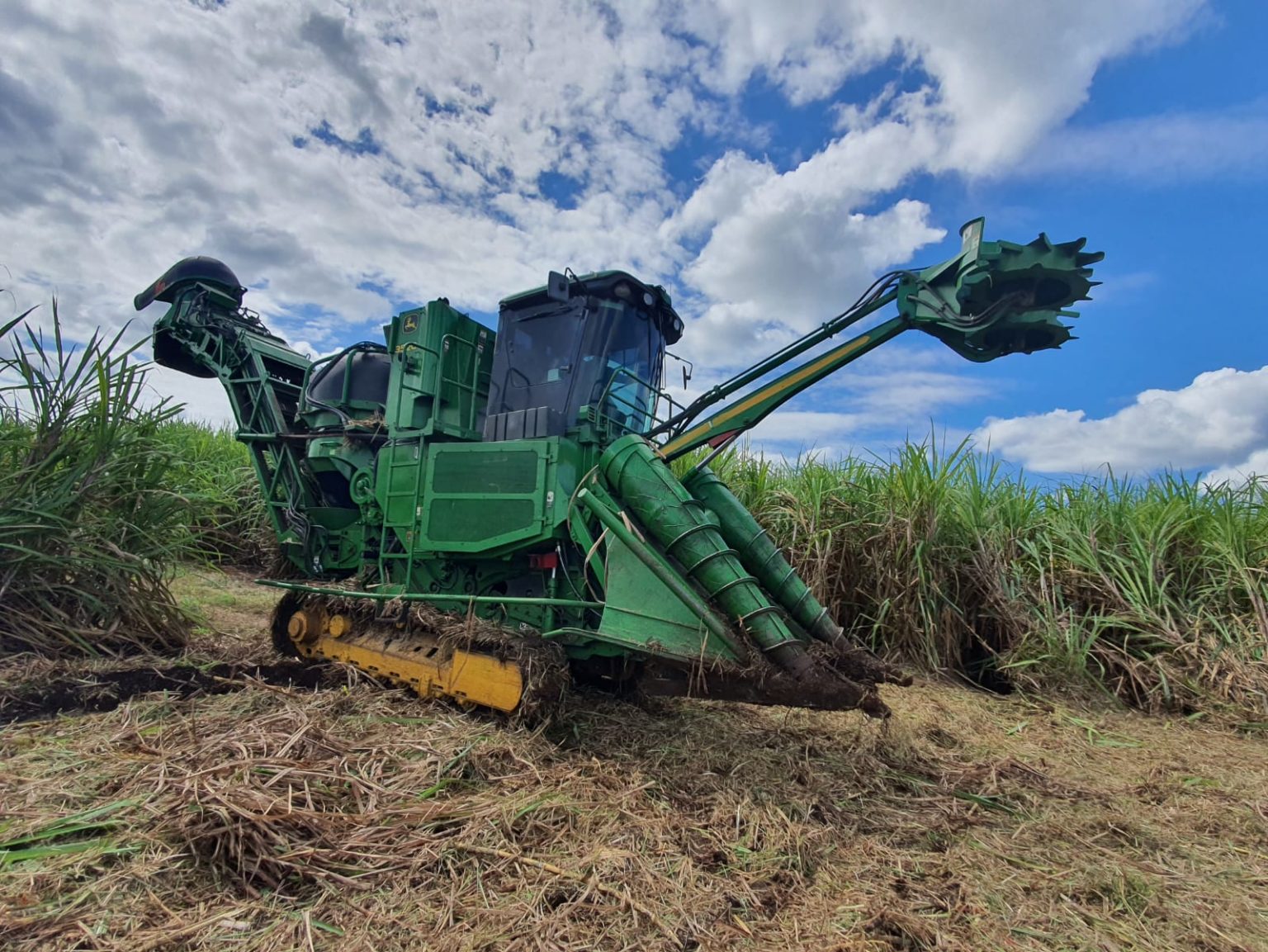 Precio histórico para cañeros de Quintana Roo, rebasan los 900 pesos por tonelada