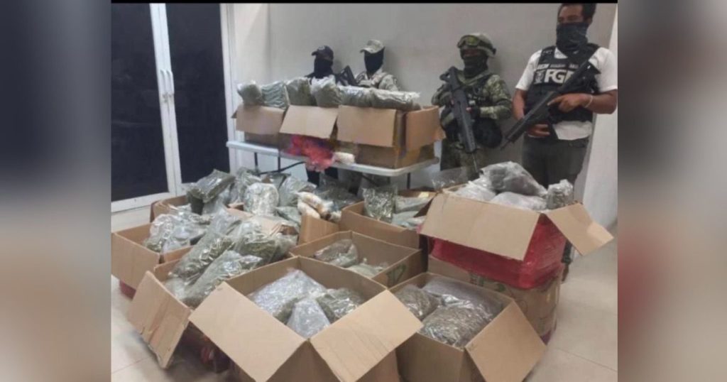 DURO GOLPE AL NARCO EN PLAYA DEL CARMEN || Incautan más de 100 kilos de drogas en el Centro