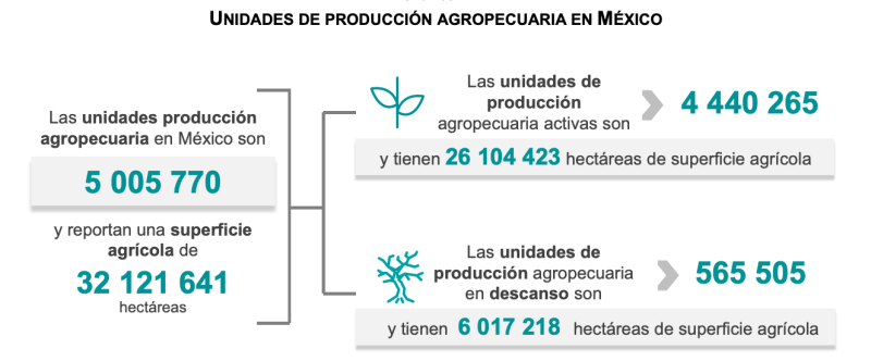 4.4 millones de mujeres trabajan en el campo, revela Censo Agropecuario - censo-agricola-1024x425