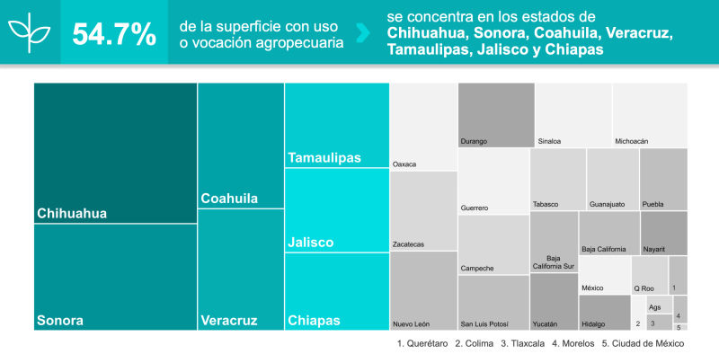 4.4 millones de mujeres trabajan en el campo, revela Censo Agropecuario - inegi-censo-agropecuario-1024x504