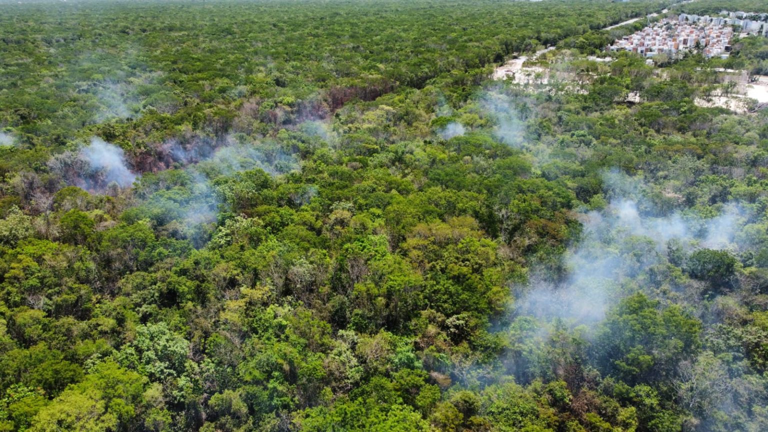Combaten bomberos dos incendios en Playa del Carmen