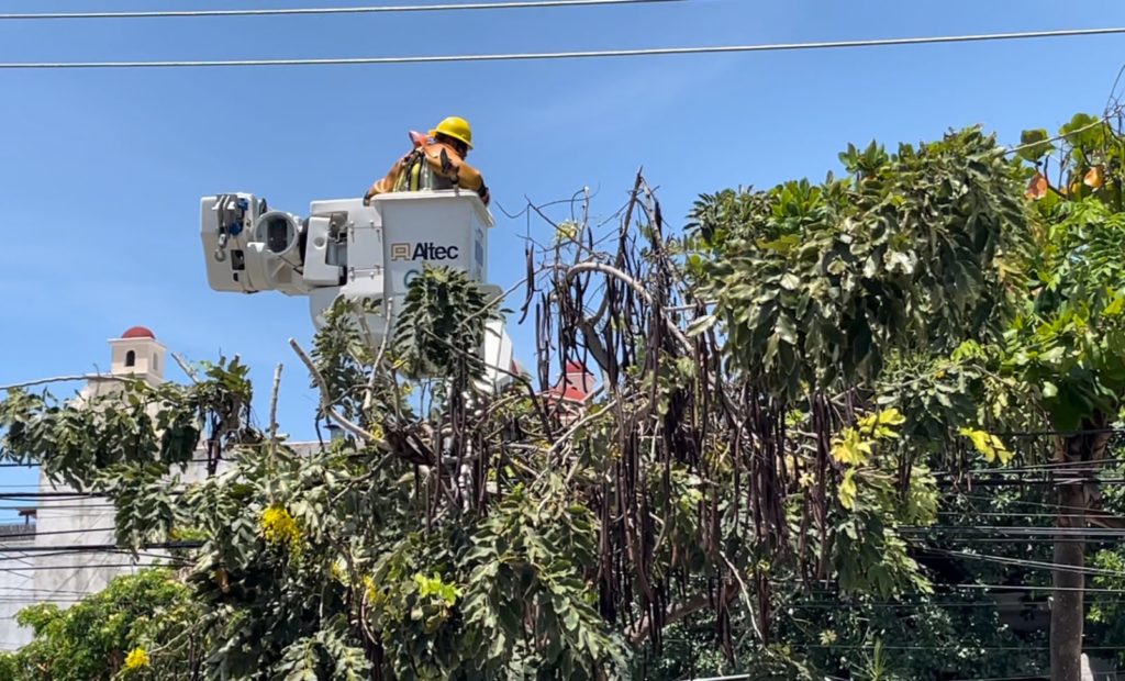 Introducirá CFE nueva línea de transmisión de Kantenah a Playa del Carmen
