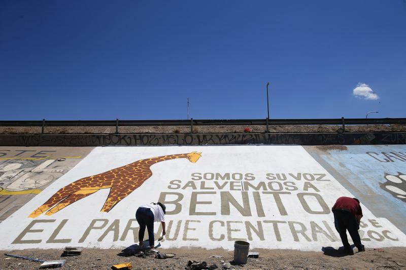 Una jirafa maltratada despierta indignación en Ciudad Juárez - jirafa-benito-ciudad-juarez-chihuahua-2-1024x683