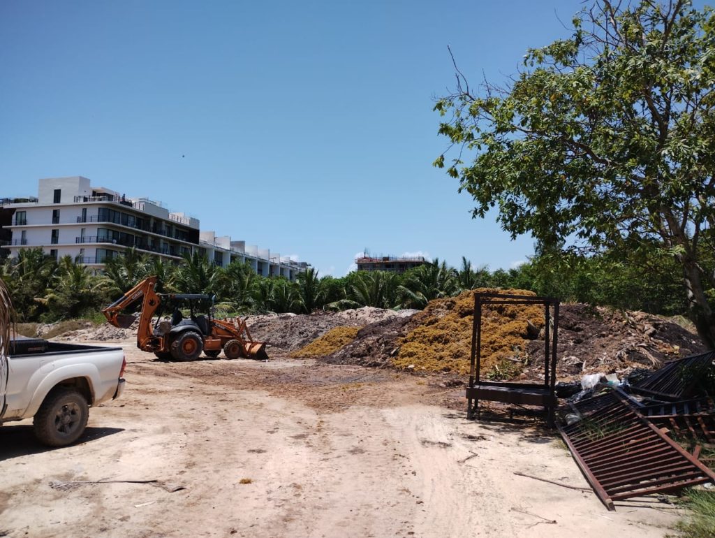 Descartan relleno de mangle en la zona del hotel The Reef Cocobay