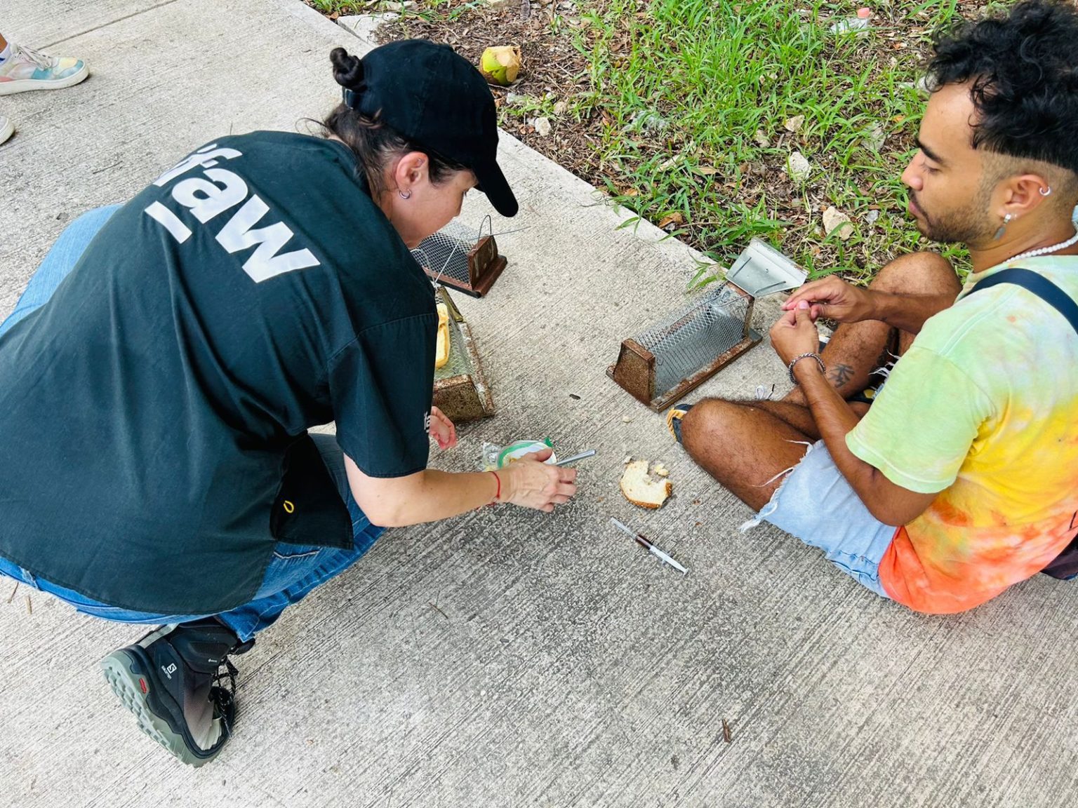 Captura Exitosa de Roedores Exóticos en Área Verde de Fraccionamiento Marsella