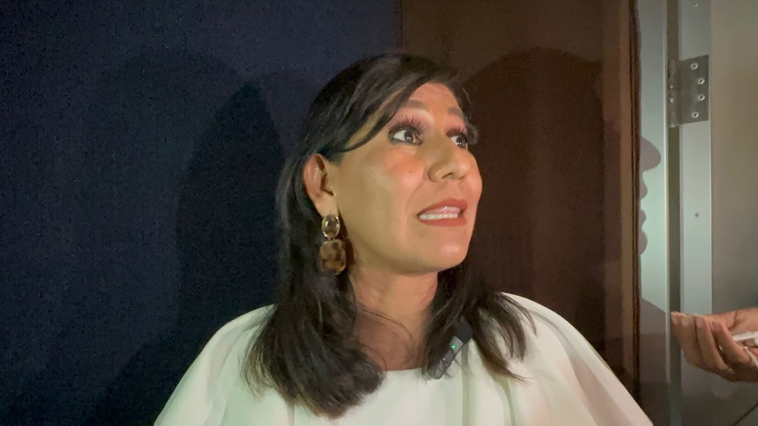 Plataformas digitales aumentan hasta un 30% las ventas que los comercios presenciales