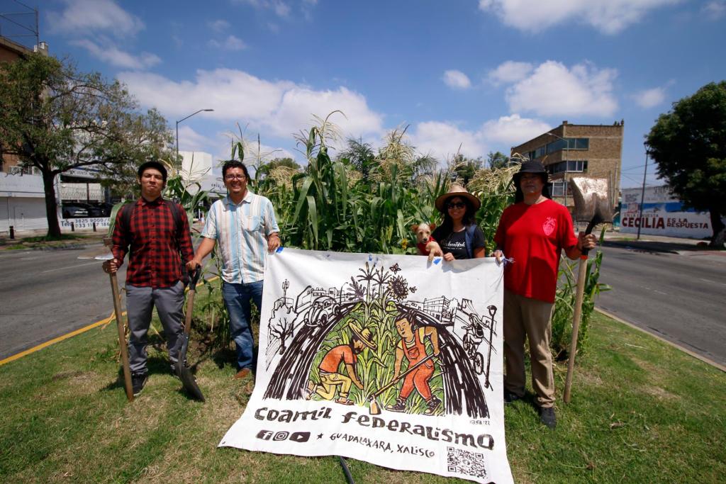 Organizaciones civiles buscan proteger la milpa, el cultivo prehispánico del maíz - milpa-en-camellon-de-guadalajara-1024x683