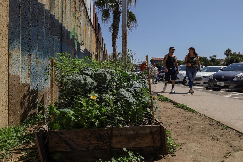 Renovación del muro fronterizo en EE.UU. destruye vegetación - parque-binacional-de-la-amistad-en-el-muro-fronterizo-de-eeuu-y-mexico-1024x683