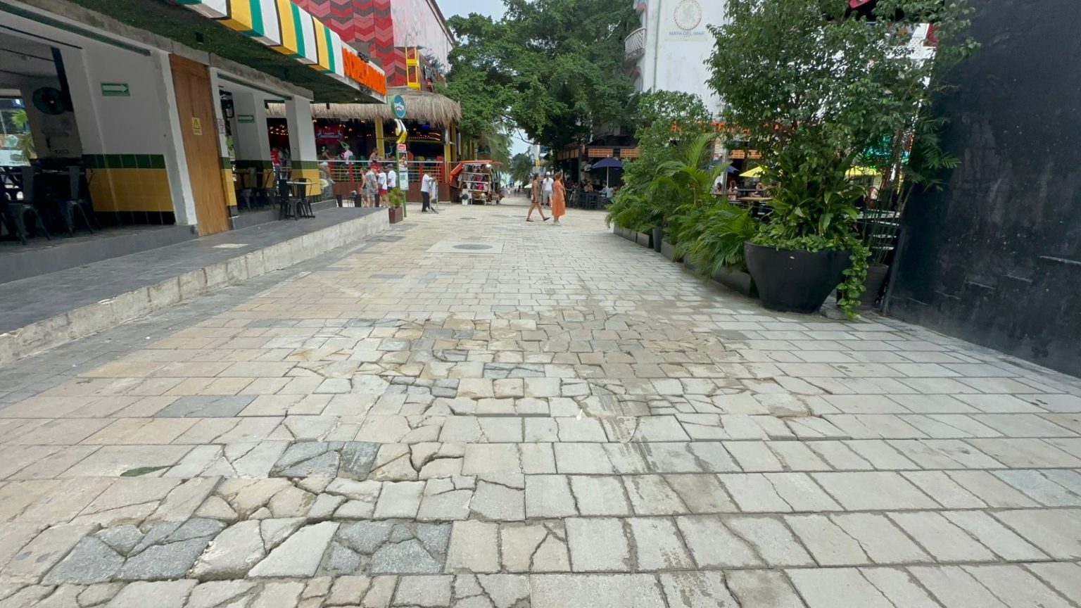 Busca Solidaridad mecanismos para poder reparar las calles laterales de la Quinta Avenida