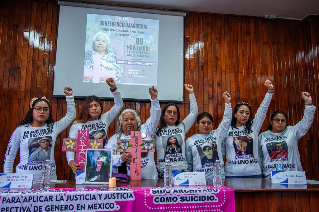 Activista impulsa ley que indague muertes violentas de mexicanas con perspectiva de género - activista-impulsa-ley-que-indague-muertes-violentas-de-mexicanas-con-perspectiva-de-genero-2-1024x683