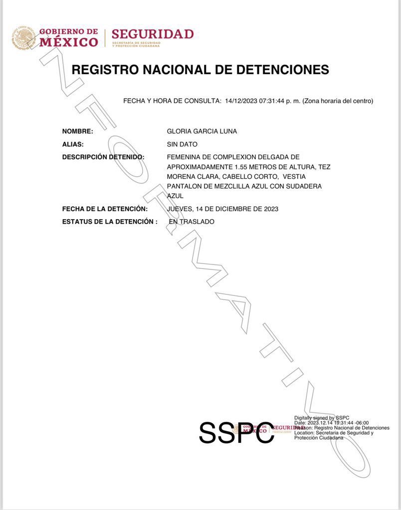 Detienen en Cuernavaca a Gloria, hermana de Genaro García Luna - detenciones-hermana-genaro-garcia-luna