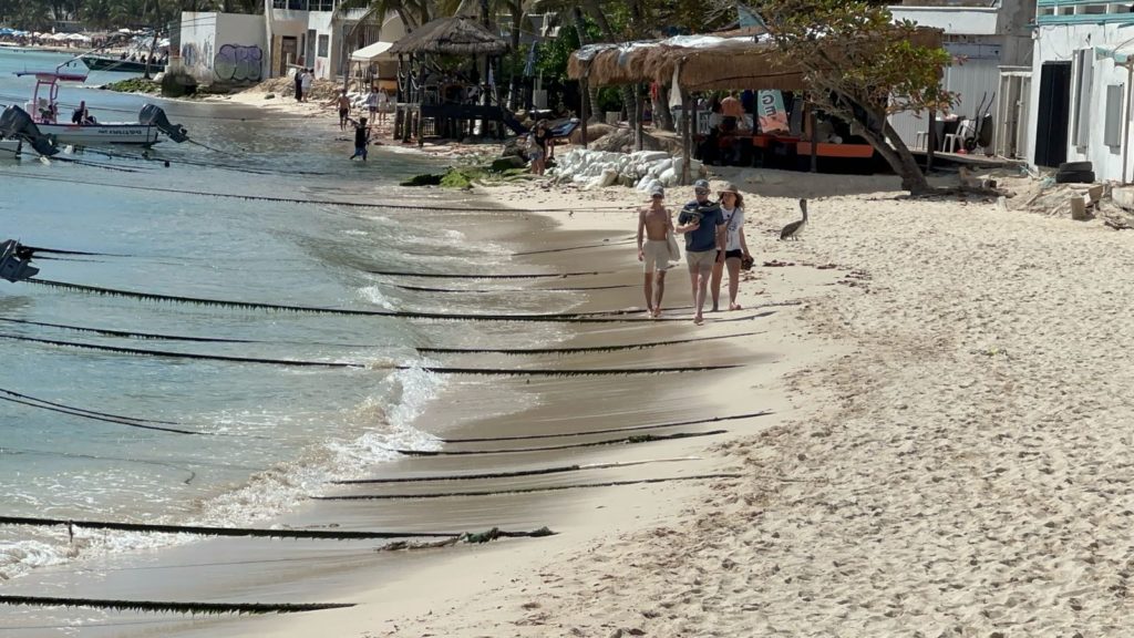 Listos en Playa del Carmen para atender los recales de sargazo en arenales
