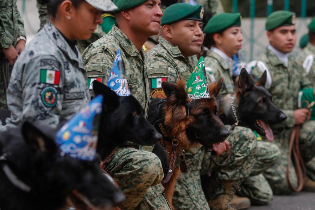 Ejército celebra primer cumpleaños de Arkadas, perro rescatista donado por Turquía - cumpleanos-de-arkadas-1024x683