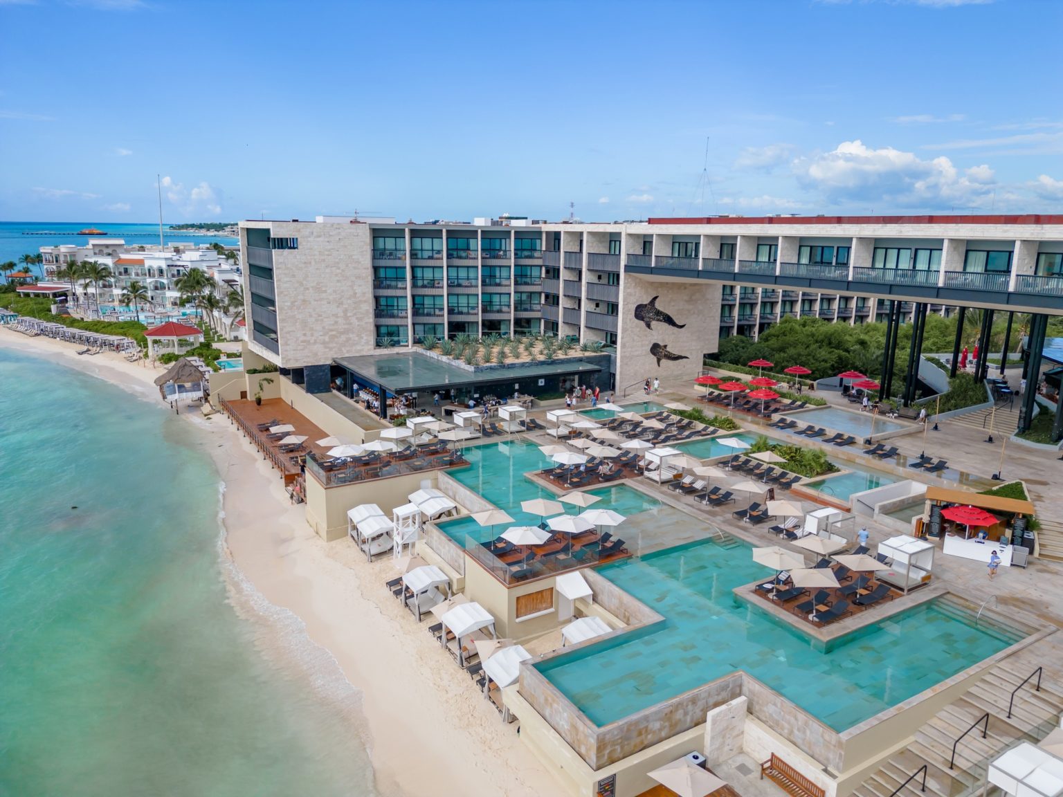 Prevén que fracase el proyecto de arrecife artificial del hotel Hyatt