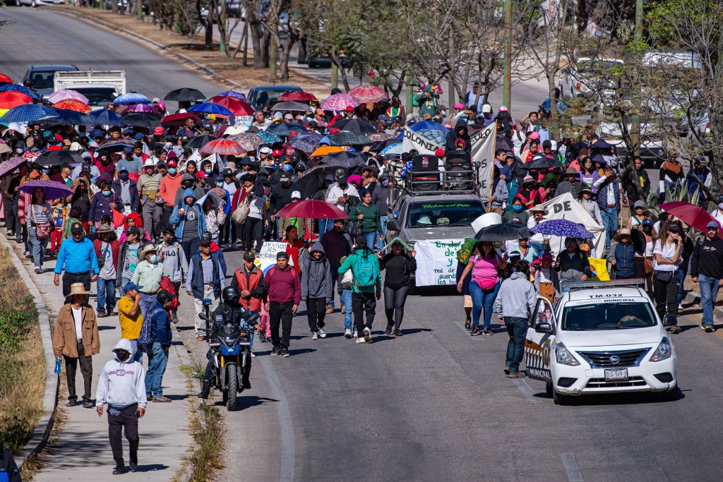 Ambientalistas en Chiapas exigen al gobierno mexicano soluciones a la crisis de humedales - ambientalistas-en-chiapas-exigen-al-gobierno-mexicano-soluciones-a-la-crisis-de-humedales-2-1024x683