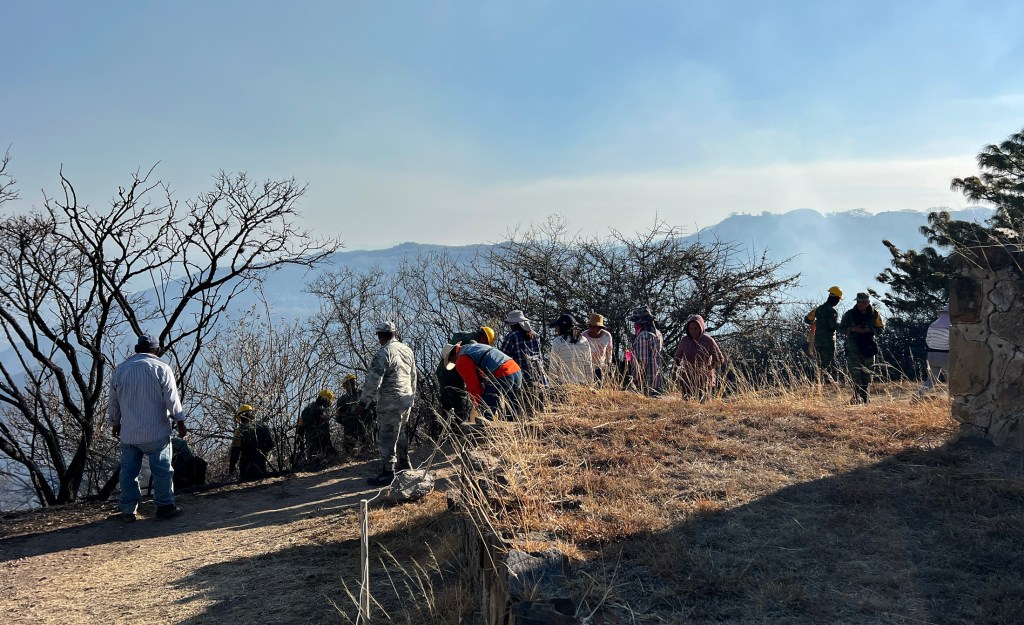 Un incendio afecta 30 hectáreas de zona arqueológica de Monte Albán en sur de México. Foto de EFE