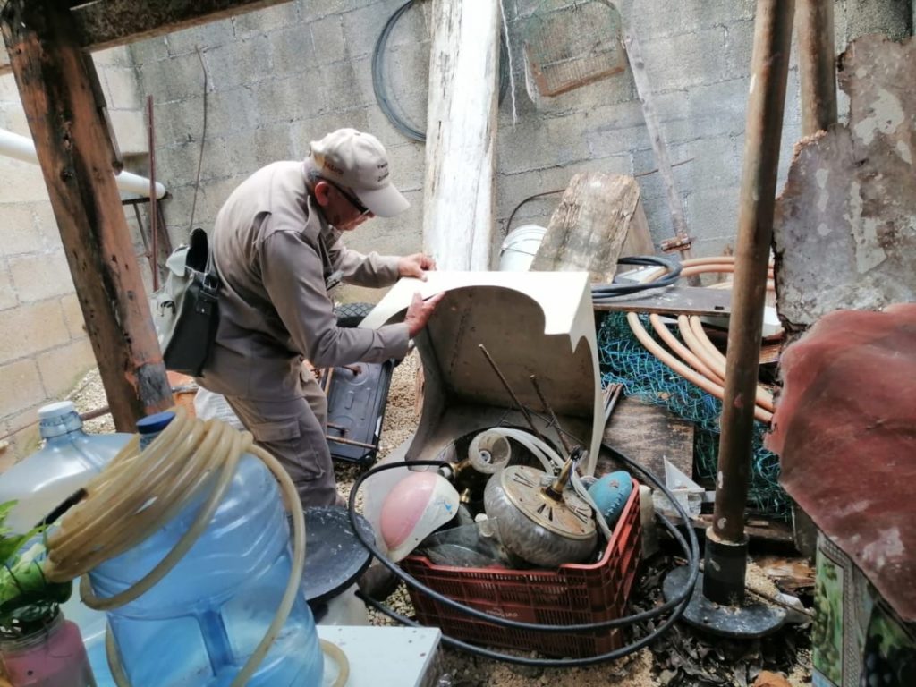 Promueve SESA eliminación de criaderos de mosco para combate al dengue