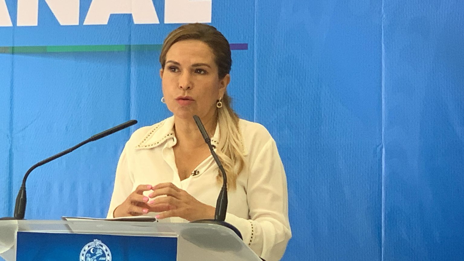 ANALIZAN AMPARO | Pide Solidaridad a CFE no impactar la Playa 88 con obras para Cozumel