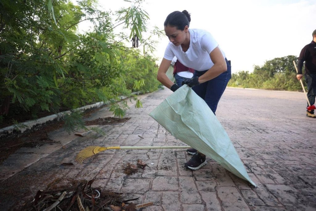 Libra Ana Paty otro recurso del PRD, promoción en Facebook es “libertad de expresión”