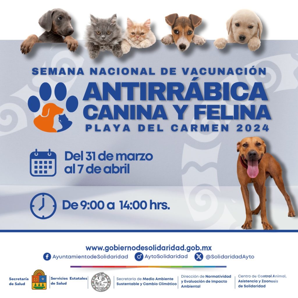 Anuncian semana nacional antirrábica en Solidaridad