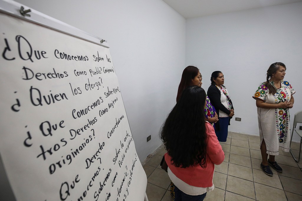 Mujeres indígenas piden frenar la violencia y reconocer la medicina ancestral - indigenas-mexicanas-1024x683