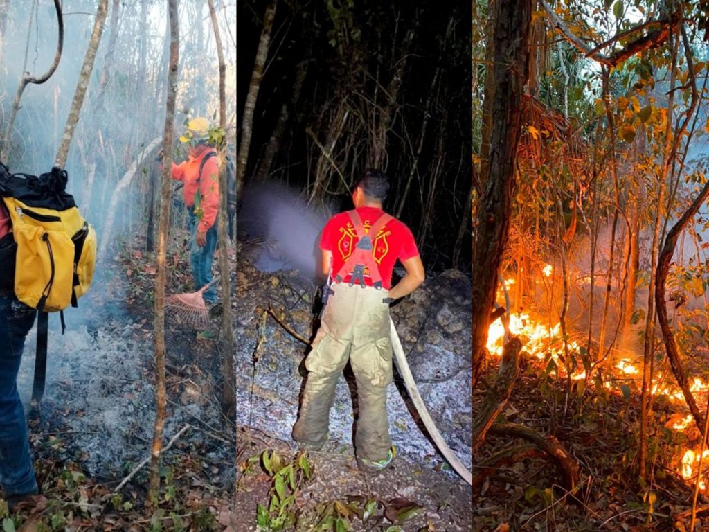 Se sofoca incendio forestal en Puerto Morelos tras intensas jornadas de combate