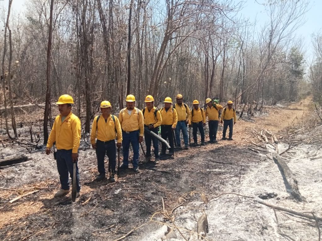 Trabajan de manera coordinada para el combate de incendios forestales en Quintana Roo