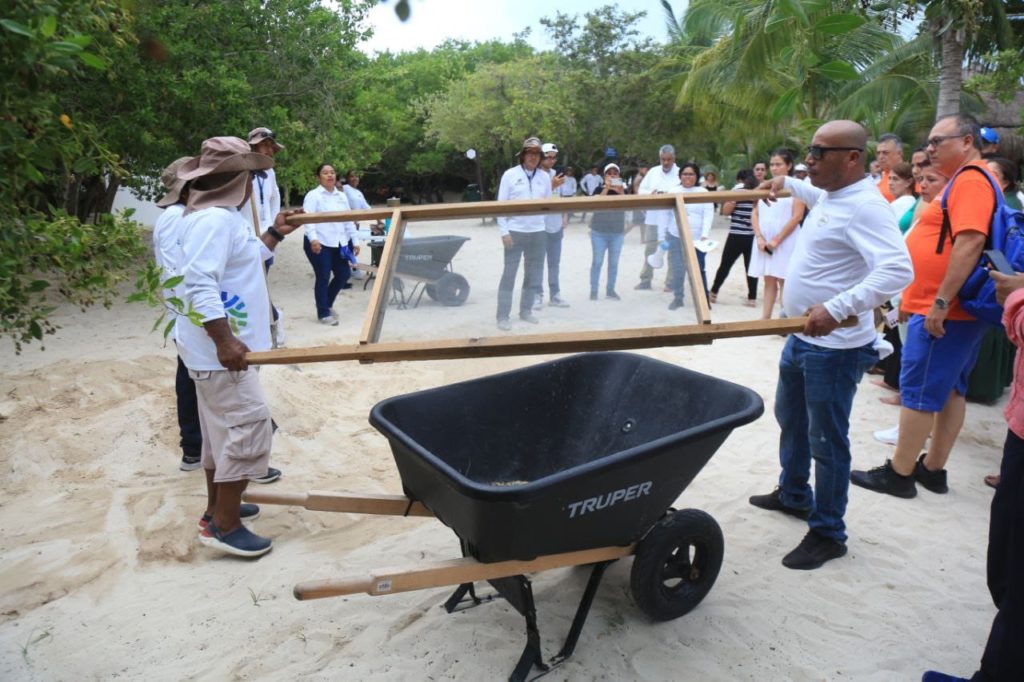 Apoyan proyecto para aprovechamiento del sargazo