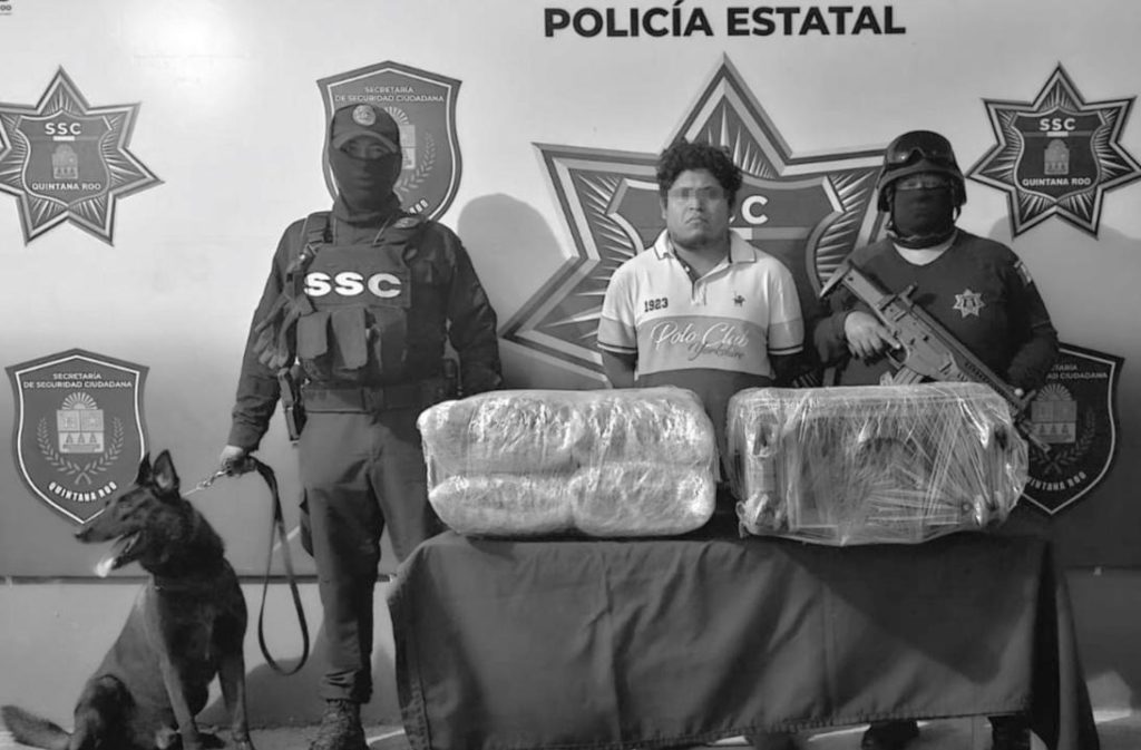 Quería viajar en ADO con ocho paquetes de yerba verde