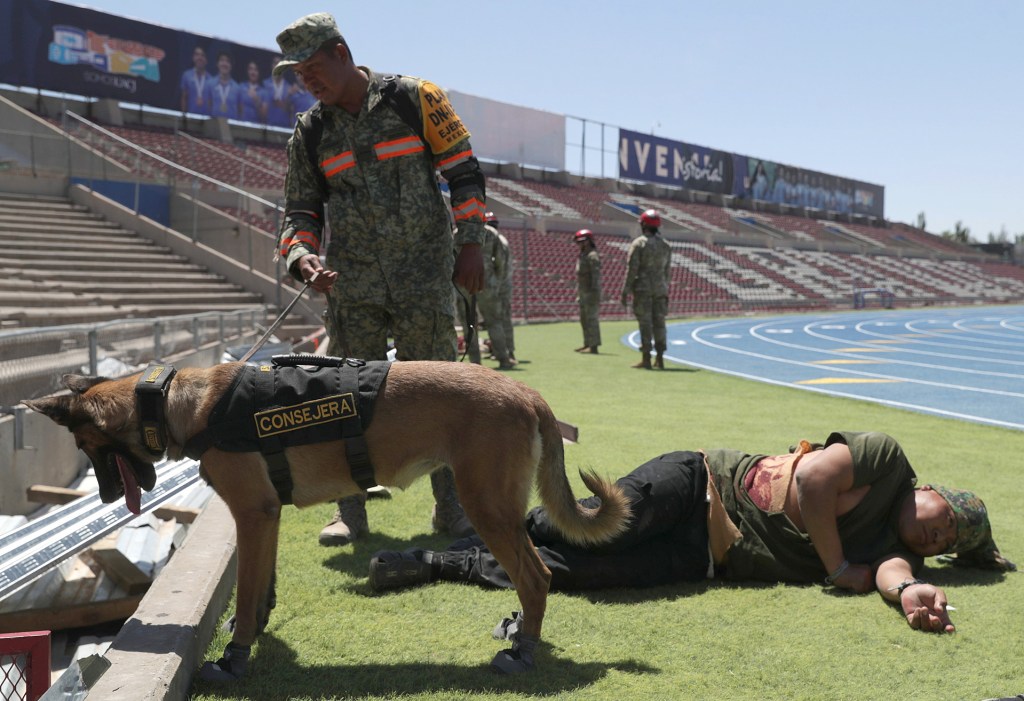 Ejército de EE.UU. cruza la frontera para el operativo 'Fuerzas Amigas 2024' - ejercito-de-eeuu-cruza-la-frontera-para-el-operativo-fuerzas-amigas-2024-1024x701