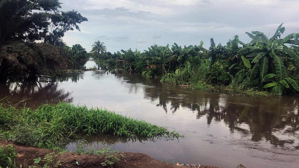 Reportan afectaciones por lluvias en 44 municipios de Chiapas - inundaciones-en-chiapas-1024x576