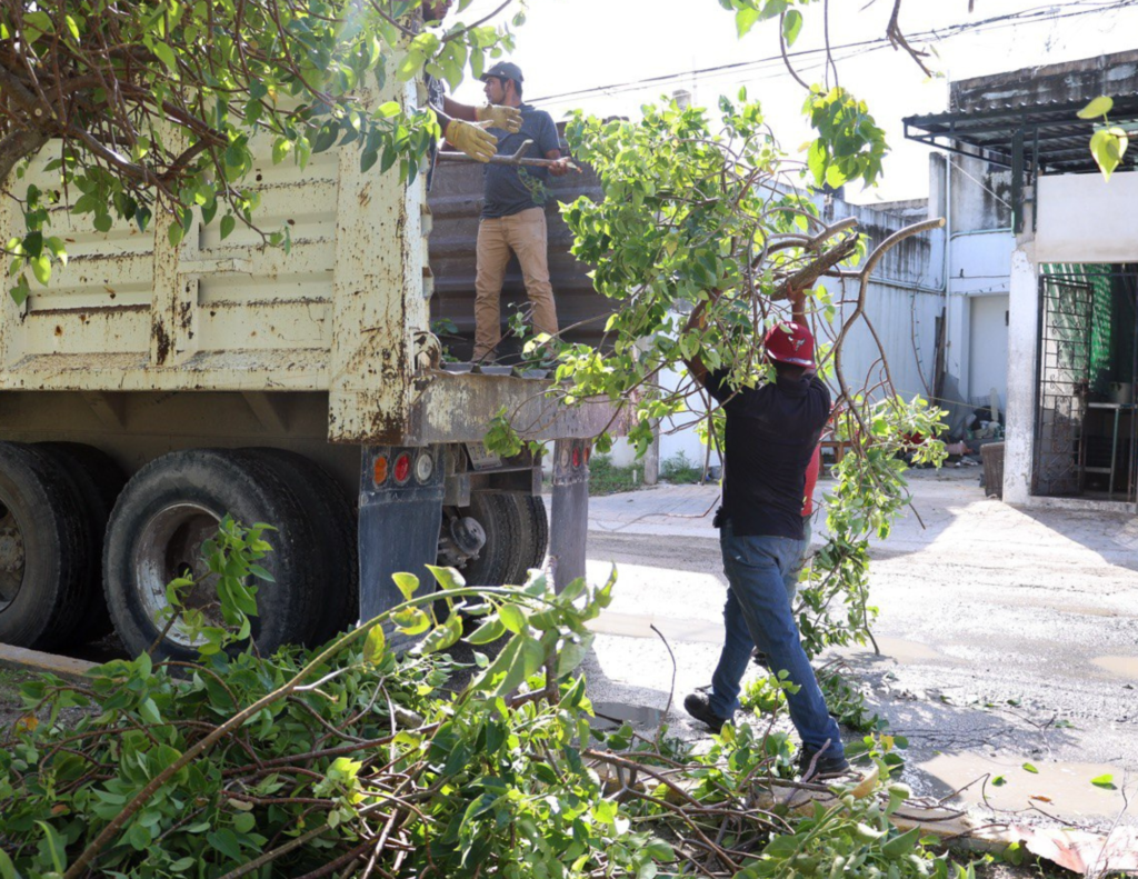 ORGANIZAN EN PUERTO MORELOS MEGA JORNADA DE LIMPIEZA LUEGO DEL PASO DEL HURACÁN “BERYL”