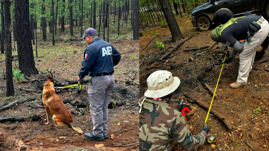 Hallan más de 700 restos óseos en Chihuahua - hallazgo-de-restos-oseos-en-chihuahua-1024x576