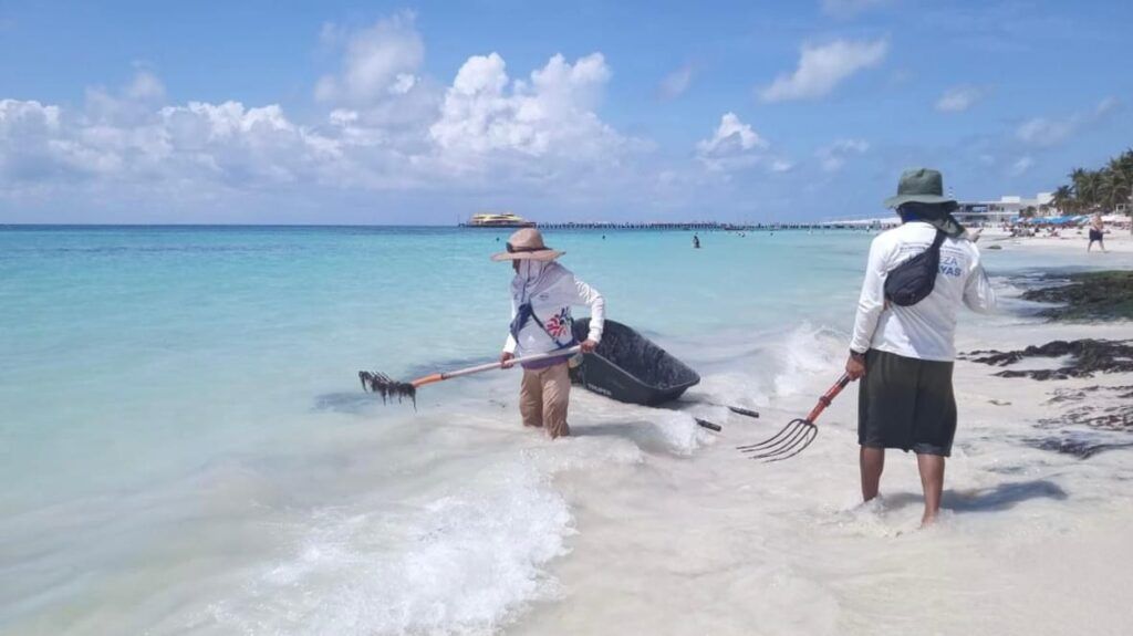 Solidaridad, municipio con más playas certificadas en Quintana Roo