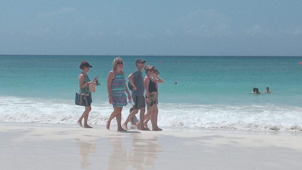 Abogados advierte vacíos legales en licitación de transporte en Solidaridad