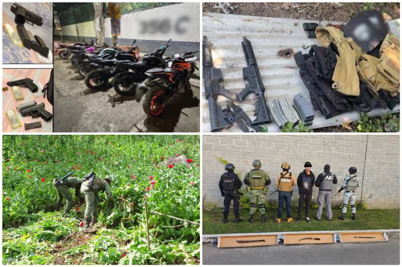 Gabinete de Seguridad acciones 29 30 noviembre 1 diciembre