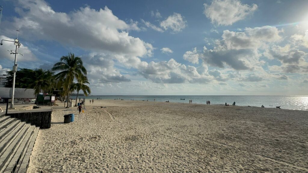 Refuerza Playa del Carmen estrategia anti sargazo para 2026