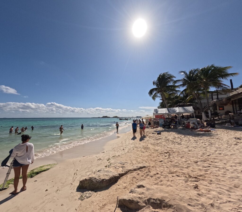 Alista Zofemat estrategia para contener sargazo para 2026 en Playa del Carmen
