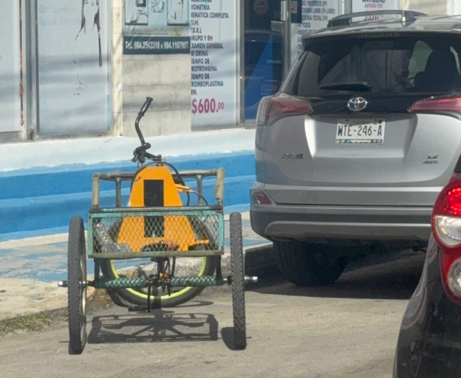 Amargas experiencias turísticas, PlayaParq, arremete vs visitantes de Playa del Carmen