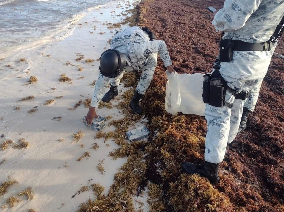 Once kilos de cocaína flotan hasta la costa de Playa del Carmen