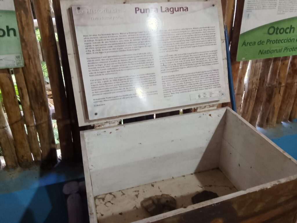 Comunidades indígenas de Punta Laguna y Hidalgo y Cortés tendrán representación ante el Ayuntamiento de Playa del Carmen